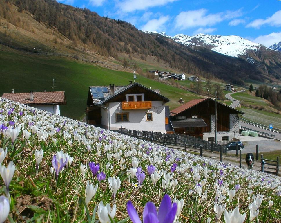 فيلا Padoellhof كورون فينوستا المظهر الخارجي الصورة